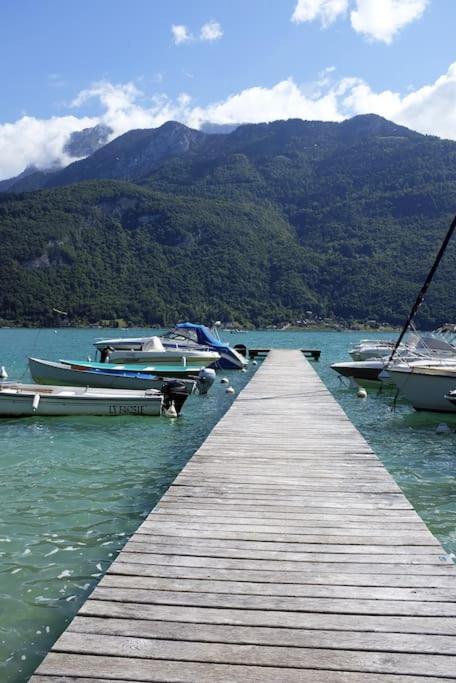 Coconlagon Serenite Au Lac D'Annecy Doussard Exterior photo